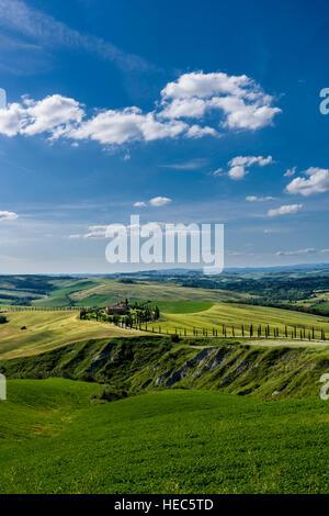 Typical green Tuscany landscape in Val d’Orcia with a farm on a hill, fields, cypresses and blue sky Stock Photo