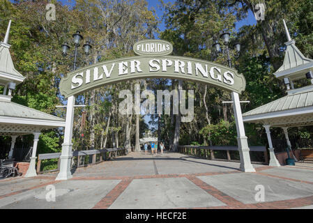 Silver Springs State Park is located in Ocala, Florida, and is home to one of the largest freshwater springs in the world. Stock Photo