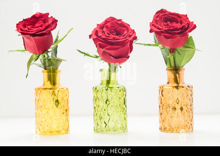Close up of three red roses in glass vases Stock Photo