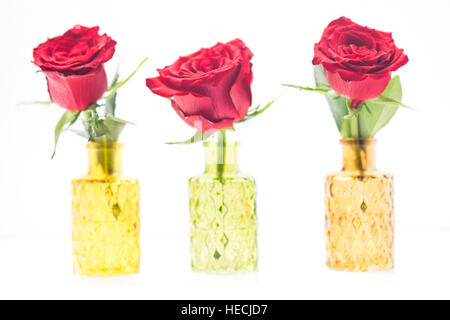 Close up of three red roses in glass vases Stock Photo