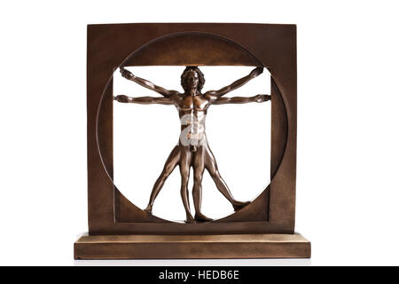 Model of the Vitruvian Man, from the drawing by Leonardo da Vinci Stock Photo