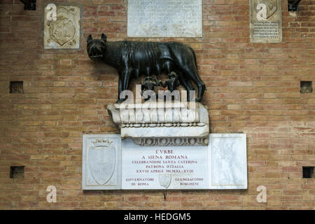 The sculpture of the Capitoline Wolf, breastfeeding the twins Romulus and Remus, inside the Palazzo Pubblico Stock Photo