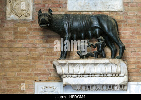 The sculpture of the Capitoline Wolf, breastfeeding the twins Romulus and Remus, inside the Palazzo Pubblico Stock Photo