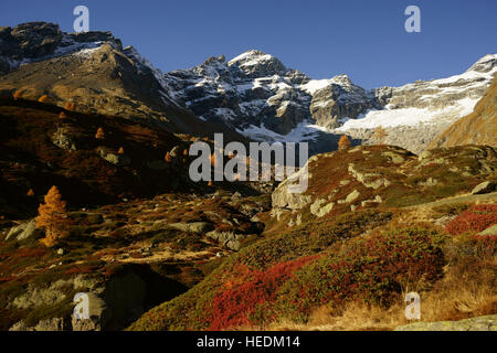 Lötschental in autumn, larch trees, alpine tundra fall colors, Valais, Swiss alps, Switzerland Stock Photo