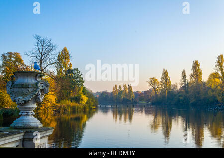 A bird takes in the autumnal sight of the Serpentine Lake at Hyde Park in London Stock Photo