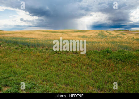 A stormy sky above farmers' fields in rural Saskatchewan, Canada Stock Photo