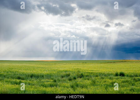 A stormy sky above farmers' fields in rural Saskatchewan, Canada Stock Photo