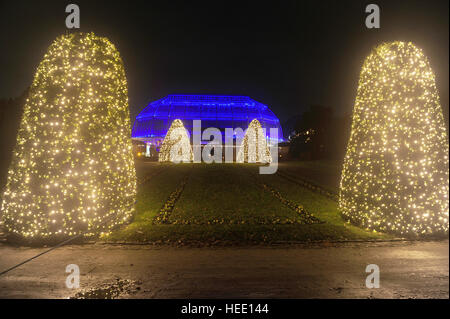 Opening of 'Christmas Garden Berlin' at Botanischer Garten. Featuring