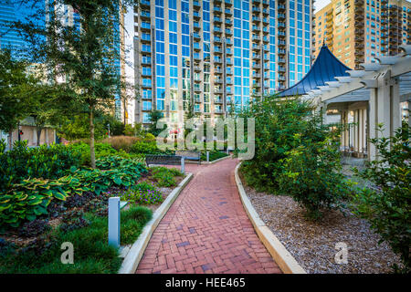 Walkway and modern buildings seen at Romare Bearden Park, in Uptown Charlotte, North Carolina. Stock Photo