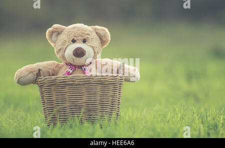 Close up lovely brown teddy bear in rattan basket on vintage bike in ...