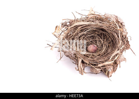 Real bird nest isolated on white background Stock Photo - Alamy