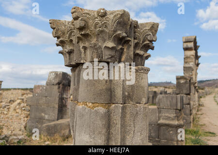 Floor mosaic, Roman ruins, Volubilis, Morocco Stock Photo