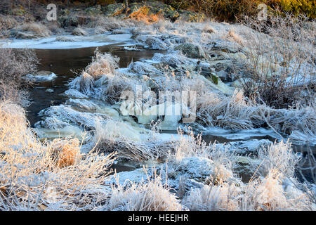 Small river on winter. Hoarfrost in plants and water has got an ice cover in some places. Stock Photo