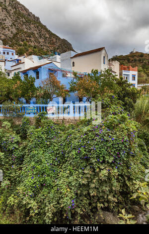 Medina, old town, Chefchaouen, Chaouen, Morocco Stock Photo