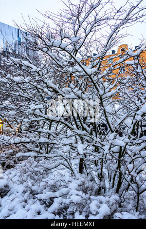 Views around Uppsala, Sweden, Winter 2016 Stock Photo