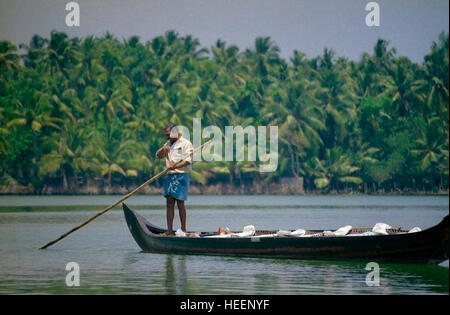 Fisherman in backwaters. Kerala, India Stock Photo