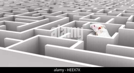White Mouse in White maze looking over walls Stock Photo