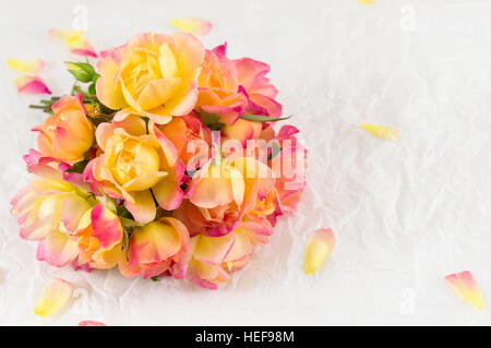 Red and yellow fresh roses on white background Stock Photo