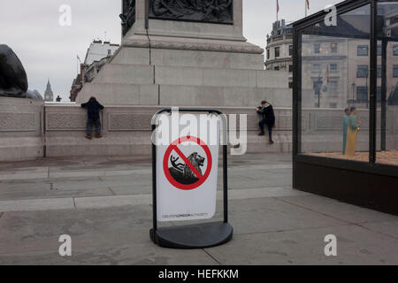 Children ignore a no climbing safety sign, hauling themselves on to the plinth of Nelson's Column next to a Christmas nativity scene, on 15th December 2016, in Trafalgar Square, London, England. The Greater London Authority (GLA) has banned tourists climbing the 148-year-old lions due to fears they are being damaged, with potentially dangerous cracks appearing as well as the indignity of having rubbish pushed in their mouths. There has also been a serious injury resulting in an air ambulance helicopter landing to evacuate to hospital in 2015. Stock Photo