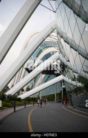 Common modern business skyscrapers of Singapore Stock Photo