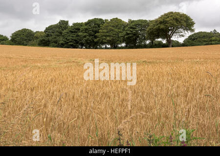 Strathmiglo, Fife, Scotland Stock Photo