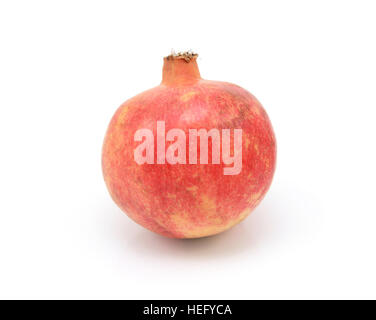 Whole pomegranate, with tough red and yellow skin, isolated on a white background Stock Photo