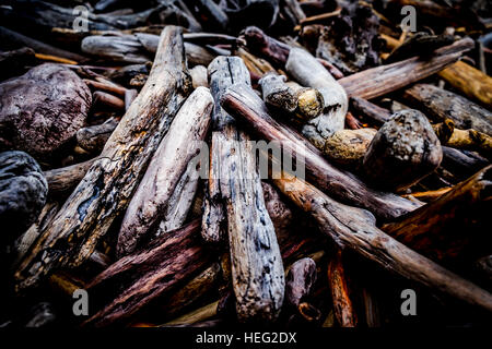 Driftwood on a beach Stock Photo
