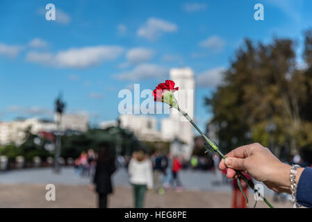 Woman holding a flower against cityscape a sunny day. Selective focus. Focus on flower Stock Photo