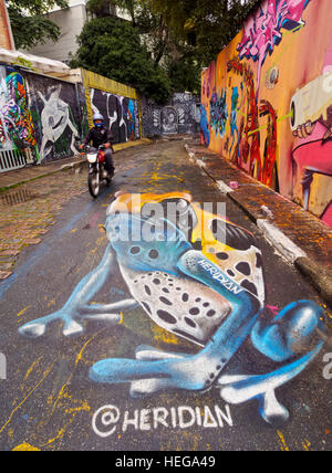 Brazil, State of Sao Paulo, City of Sao Paulo, Vila Madalena, Graffiti in Beco do Batman. Stock Photo