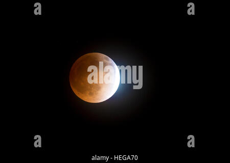 Blood Moon Stock Photo