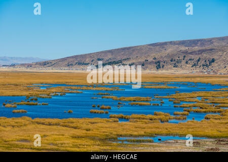 Titicaca Lake in the peruvian Andes at Puno Peru