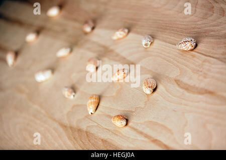 Uniformity Stock Photo