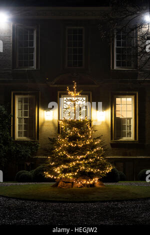 Christmas tree in front of a manor house. Kingham, Oxfordshire, England Stock Photo