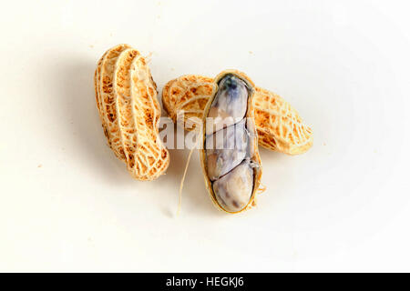 Boiled peanuts on white background Stock Photo