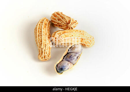 Boiled peanuts on white background Stock Photo