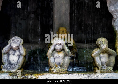 Deaf blind dumb monkeys in hi-res stock photography and images - Alamy