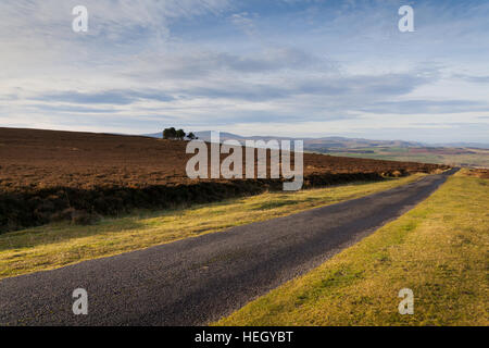 Single track country road through the heather moors above Hepburn in Northumberland Stock Photo