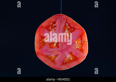 Tomato Slice, Food, , food in motion, unique food photo, in studio Stock Photo