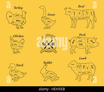 Set a schematic view of animals for butcher shop. Cow and pork, cattle and pig, chicken and lamb, beef and rabbit, duck and Stock Vector