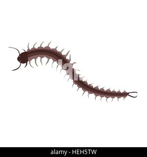 Centipede Insect Design Flat Isolated. Centipede insect design flat isolated. Longest insect with many legs isolated on white Stock Vector