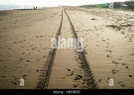 Car tracks in the sand on the beach. Stock Photo