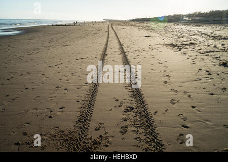 Car tracks in the sand on the beach. Stock Photo