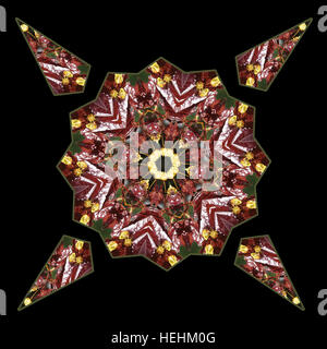 Kaleidoscope made from a red Maple leaf Stock Photo