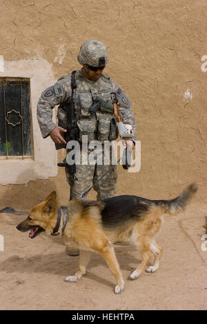 U.S. Army Sgt. Clayton Kaneakalau, a native of Honolulu, Hawaii, attached to 88th Military Police Detachment, Camp Zama, Japan, and Ben, a military working dog, patrol the village of Tali Dihen, during a cordon and search operation, on March 30, 2009, in the Kirkuk province, Iraq. Patrol in Tali Dihen 162653 Stock Photo