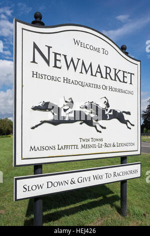 Welcome To Newmarket Town Centre Sign, Fordham Road, Newmarket, Suffolk ...