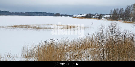 Panorama of lake Siverskoye winter landscape of Northern Russia. Stock Photo