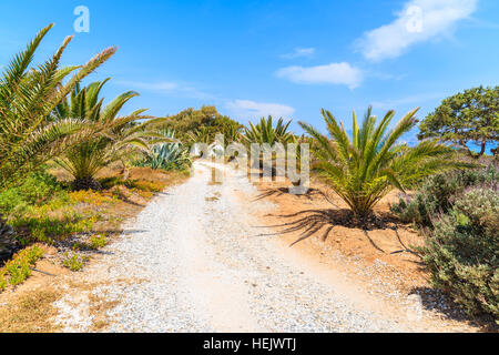 Coastal road along sea in Ampelas village on Paros island, Greece Stock Photo