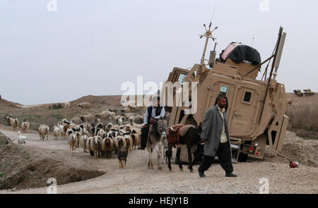 A shepherd walks his flock past a Mine-Resistant, Ambush-Protected truck mired in a sinkhole in Ninewa province, Jan. 18. The gun truck belongs to Soldiers with 3rd Platoon, 204th Military Police Company, 519th MP Battalion, headquartered in Fort Polk, La. Members of the Q-West quick reaction force for recovering vehicles - manned by C Company, 2nd Battalion, 198th Combined Arms, 155th Brigade Combat Team, out of Oxford and Indianola, Miss. - recovered the vehicle and returned it to base. Recovery 245528 Stock Photo