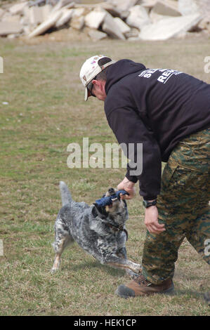 K-9 handler Jim Akins rewards his dog Emma for correctly identifying a target during the Department of Homeland Security's Basic Land Cadaver Course held at the Camp Atterbury Joint Maneuver Training Center's Search and Rescue Training Center. During this training the dogs and handlers learned techniques to assist in the process to conduct an effective search for human remains. Training humans to master their rescue dogs Department of Homeland Security trains at Camp Atterbury 265017 Stock Photo