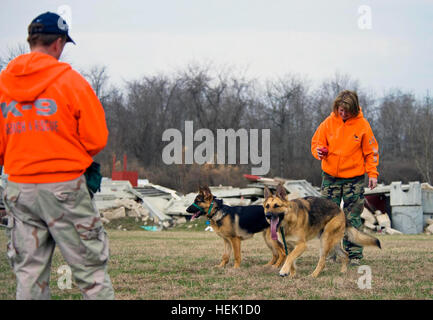 Search and Rescue dogs train with their masters at the Camp Atterbury Joint Maneuver Training Center's Search and Rescue Training Center in central Indiana during a two-day course held March 20-21, aimed at teaching dog owners the basics necessary to train their dogs in search and rescue. Training humans to master their rescue dogs Department of Homeland Security trains at Camp Atterbury 265016 Stock Photo